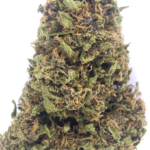 Amazing Haze