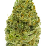 Haze seeds