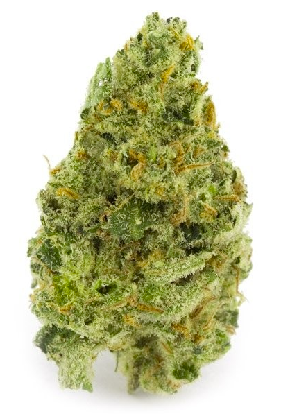 Haze seeds